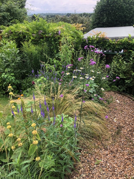 Terrace House Garden